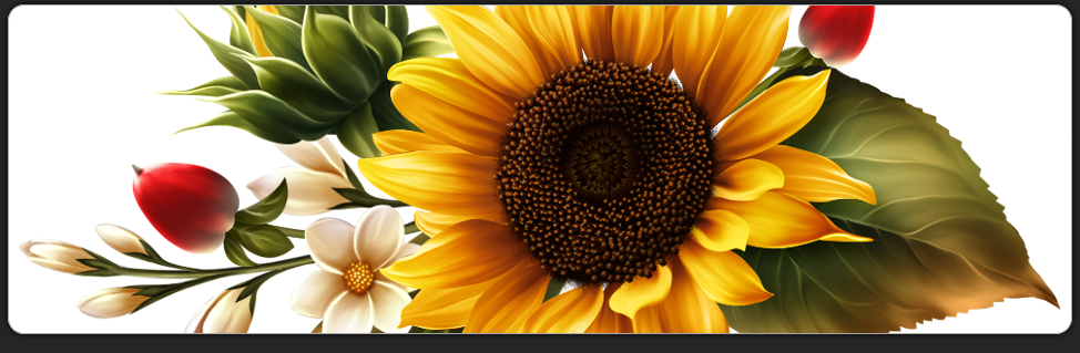 Niema's Clip art Collection